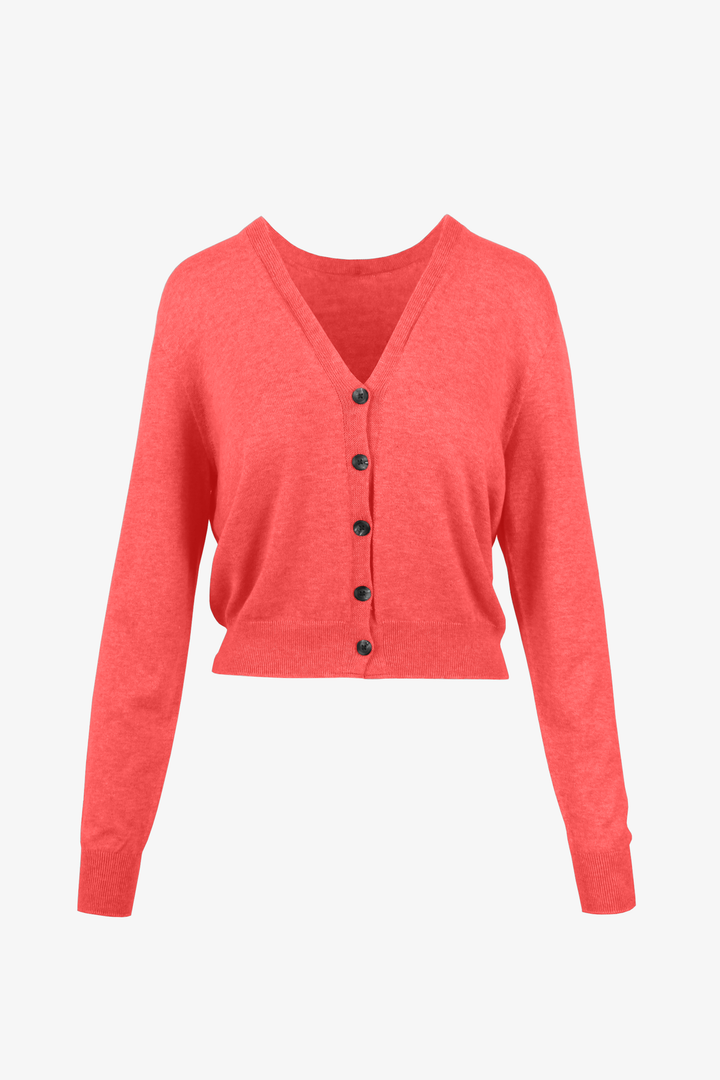 Saintt Sinners Mara Crop Cardigan (Color Options) - clever alice