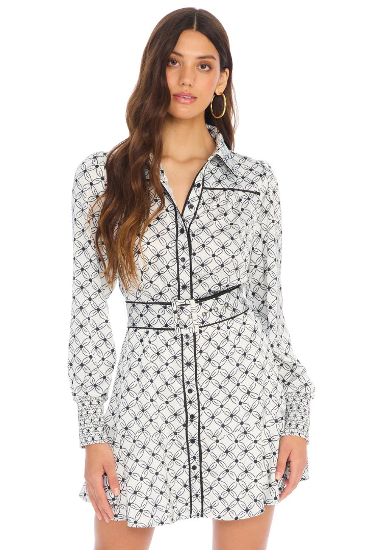 Allison DYLAN MINI DRESS