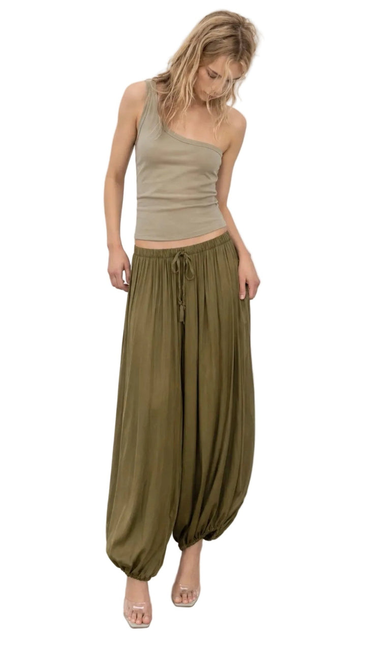 Garconne Silk Viscose Barrel Pant - clever alice