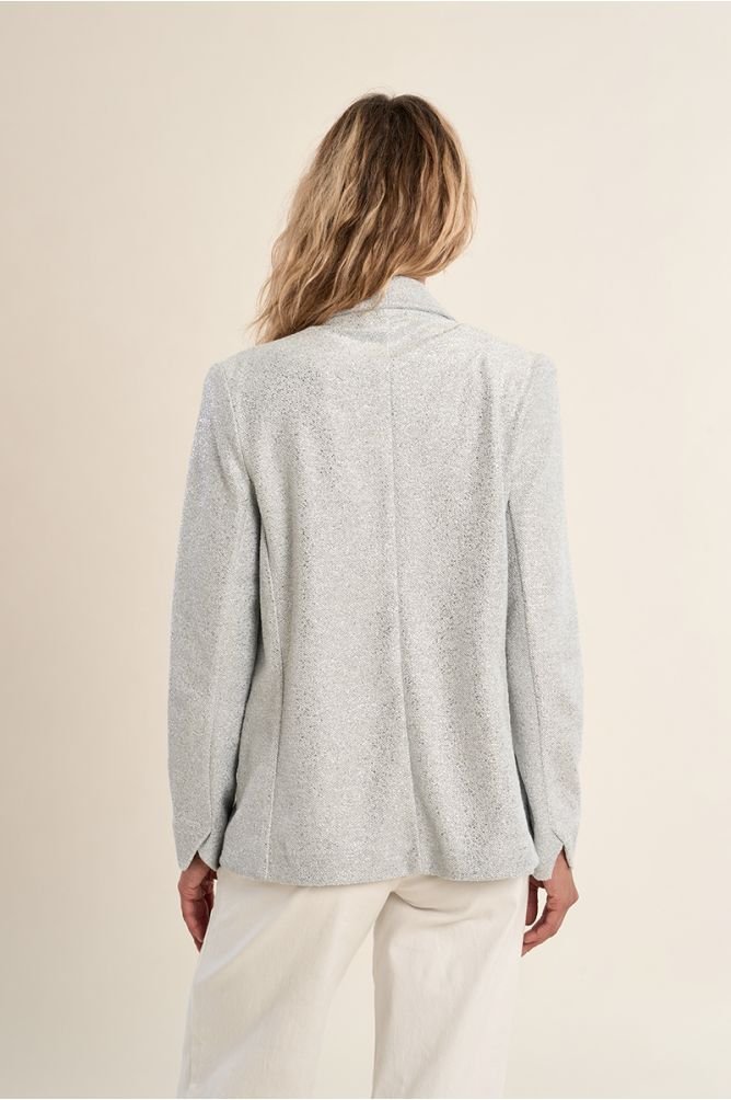 Molly Bracken Iridescent Blazer - clever alice