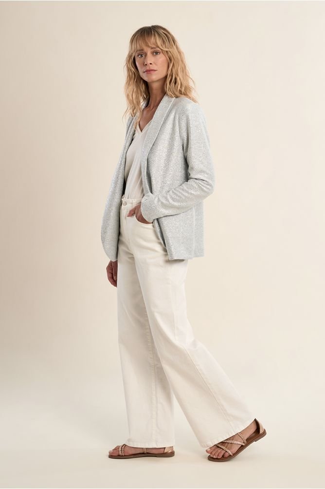 Molly Bracken Iridescent Blazer - clever alice