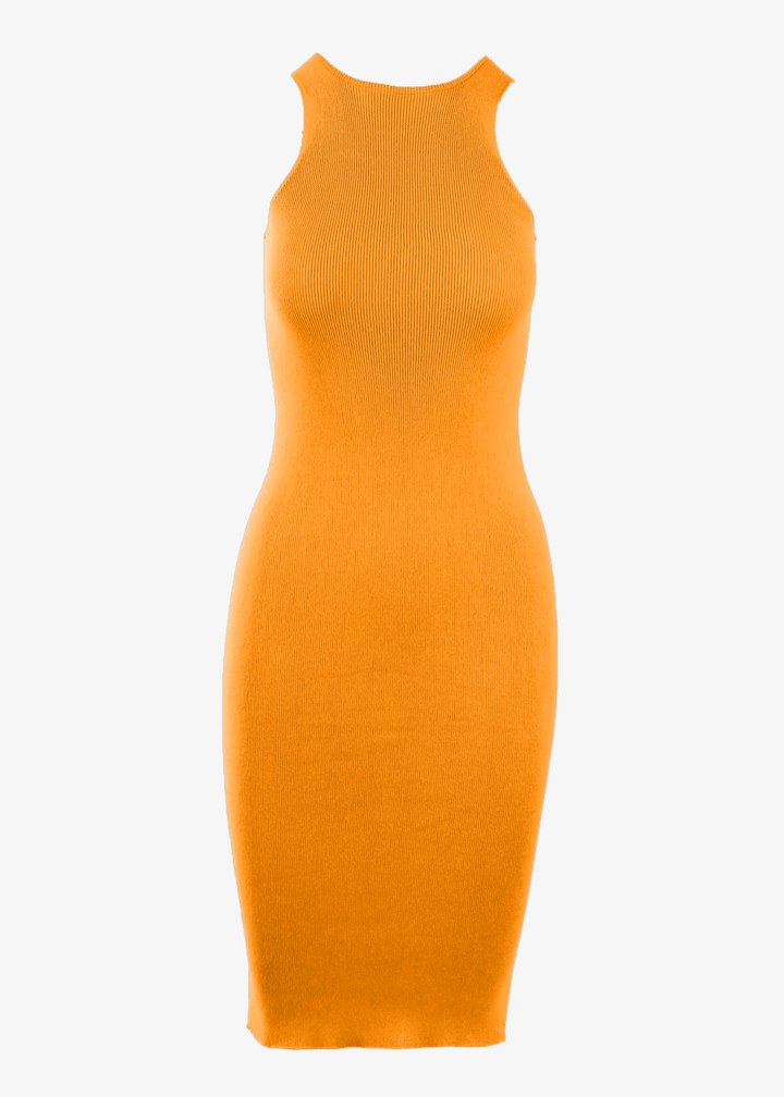 Saintt Sinners Eartha Midi Tank Dress - clever alice