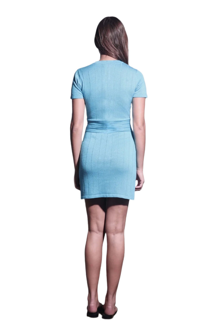 Walter Baker London Dress - clever alice